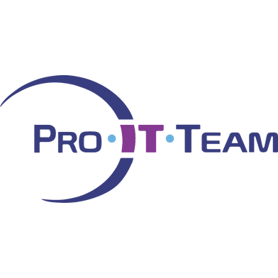 Pro IT Team logo