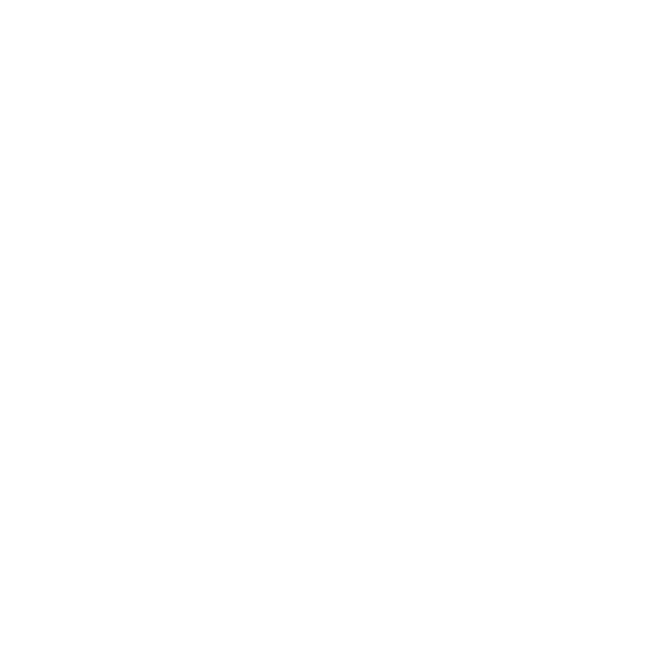 Notre Systems logo