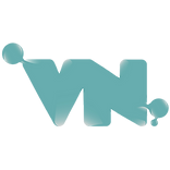 Virtua Networks, LLC logo