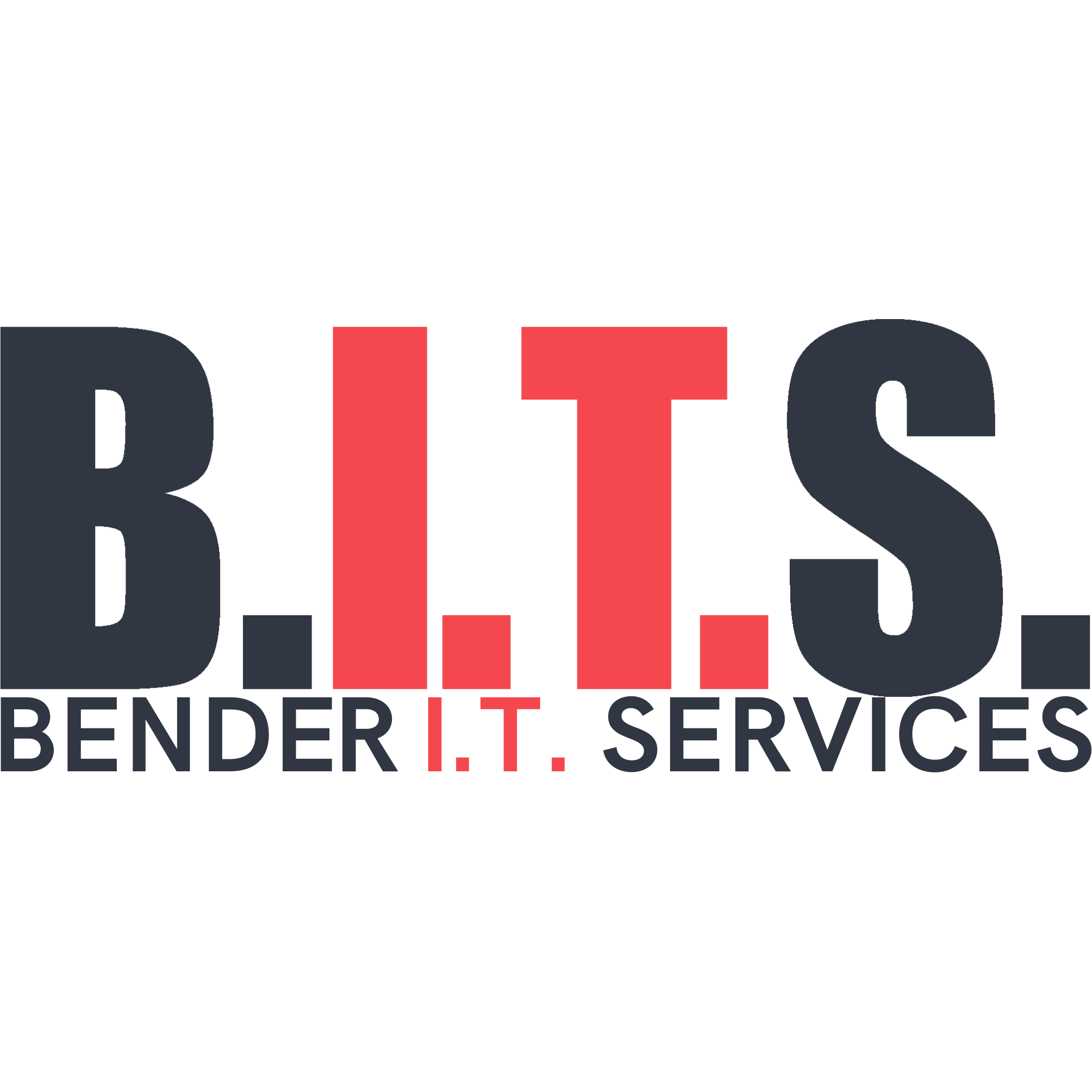 Bender Information Technology Services logo