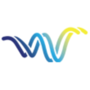 WT Solutions logo