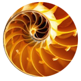 Ortiz Consulting logo