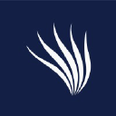 Kelp Digital OU logo