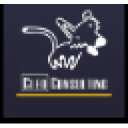 Cleo Consulting, Inc. logo