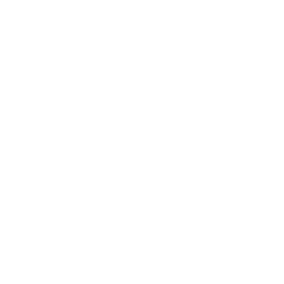 The Factory Sports Inc. logo